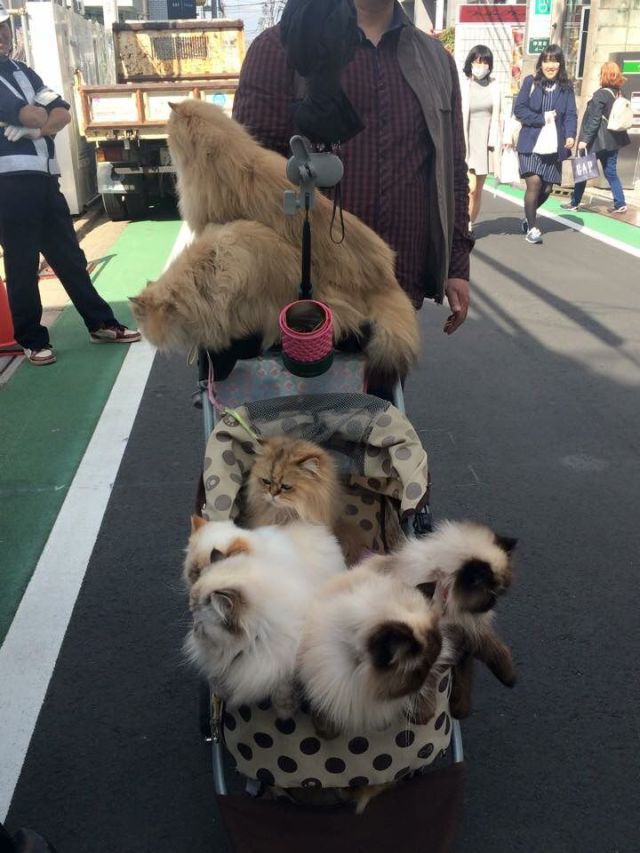 morning picdump 53 pics 2.html - 53 HD Photos | Premium Gallery 2015