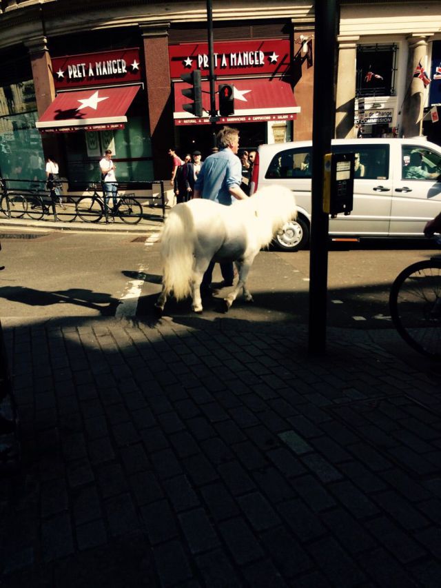 morning picdump 53 pics 2.html - 53 HD Photos | Premium Gallery 2015