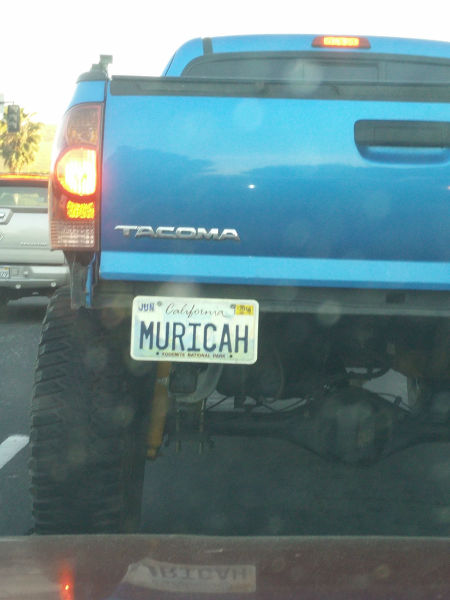 Morning Picdump