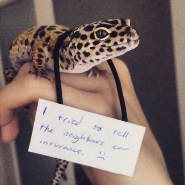 Morning Picdump