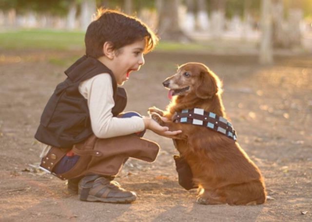 morning picdump 50 pics 9.html - 50 HD Photos | Premium Gallery 2015