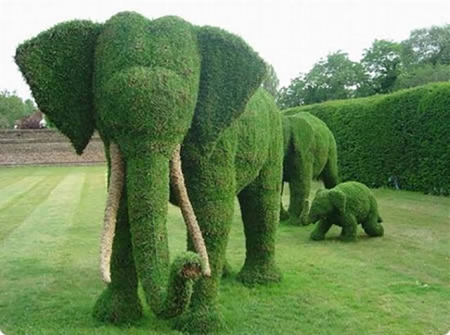 morning picdump 50 pics 9.html - 50 HD Photos | Premium Gallery 2015