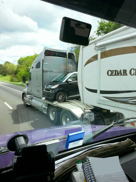 morning picdump 50 pics 9.html - 50 HD Photos | Premium Gallery 2015