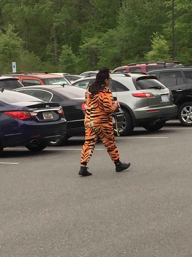 morning picdump 50 pics 9.html - 50 HD Photos | Premium Gallery 2015
