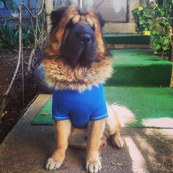 Morning Picdump