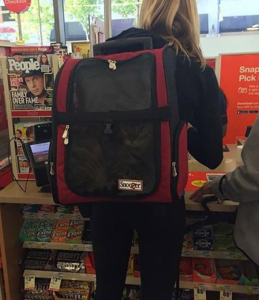 Morning Picdump