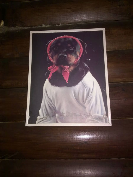 Morning Picdump