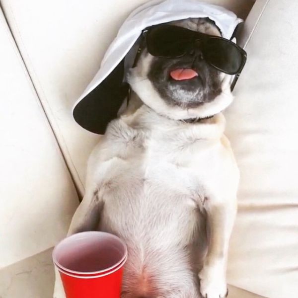 morning picdump 55 pics 20.html - 55 HD Photos | Premium Gallery 2015