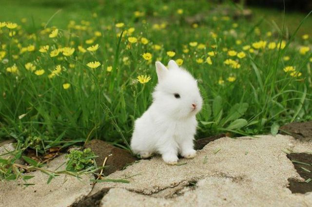 morning picdump 55 pics 20.html - 55 HD Photos | Premium Gallery 2015