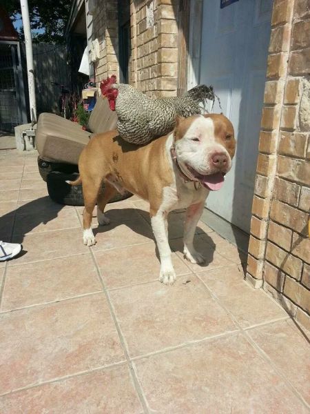 Morning Picdump