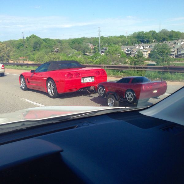 Morning Picdump