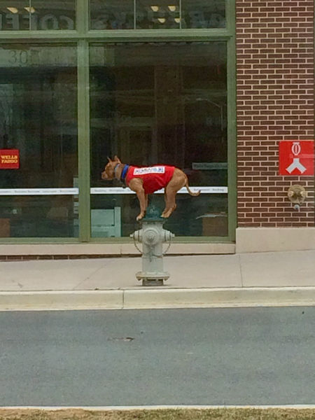morning picdump 53 pics 11.html - 53 HD Photos | Premium Gallery 2015