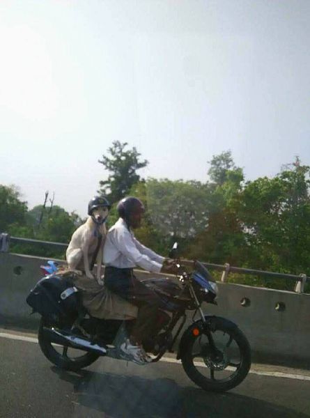 morning picdump 53 pics 11.html - 53 HD Photos | Premium Gallery 2015