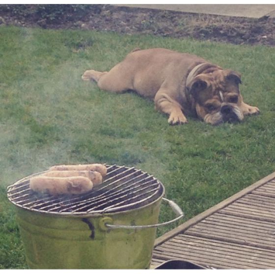 morning picdump 53 pics 11.html - 53 HD Photos | Premium Gallery 2015