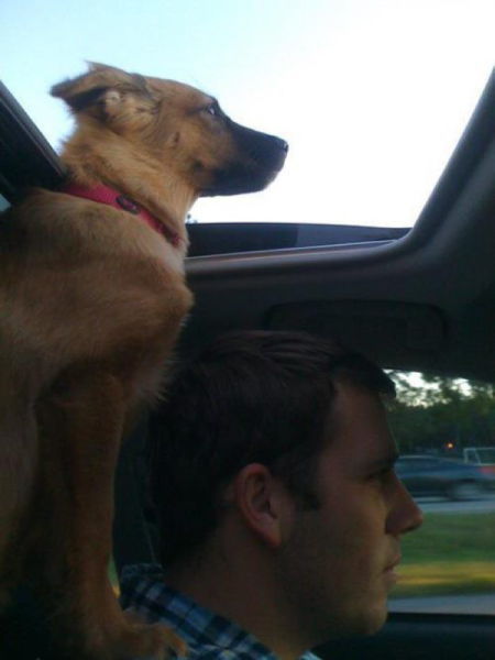 daily picdump 92 pics 4.html - 92 HD Photos | Premium Gallery 2015
