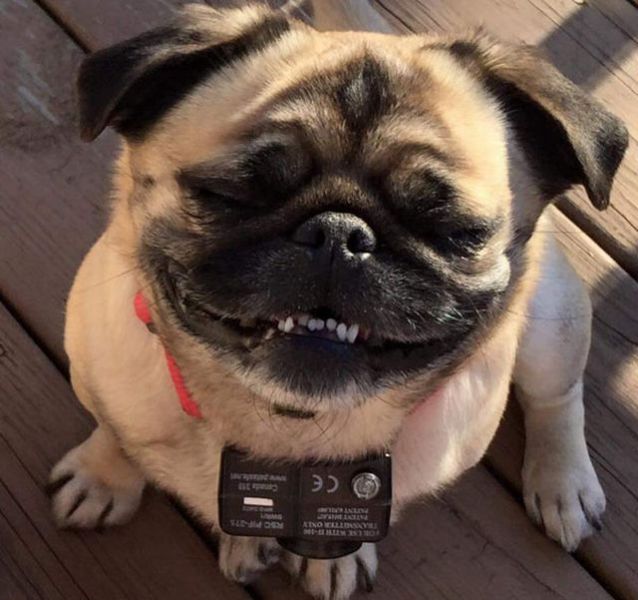 daily picdump 92 pics 4.html - 92 HD Photos | Premium Gallery 2015