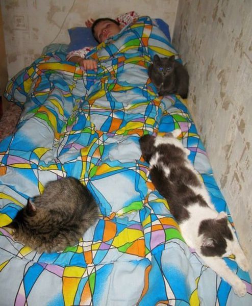 daily picdump 92 pics 4.html - 92 HD Photos | Premium Gallery 2015