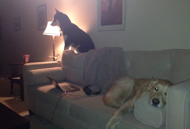 daily picdump 92 pics 4.html - 92 HD Photos | Premium Gallery 2015