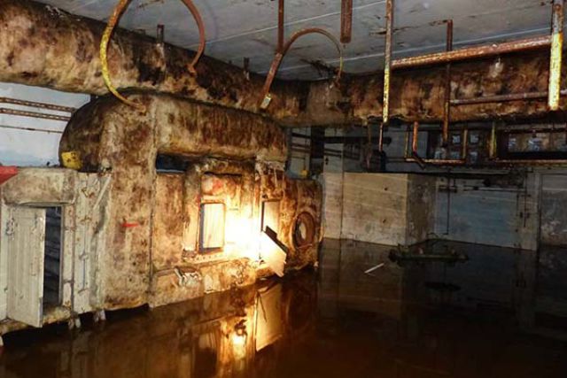 Scary Underground Tunnel Discovered Under a Neglected Home