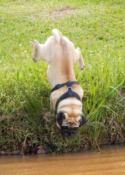 Morning Picdump