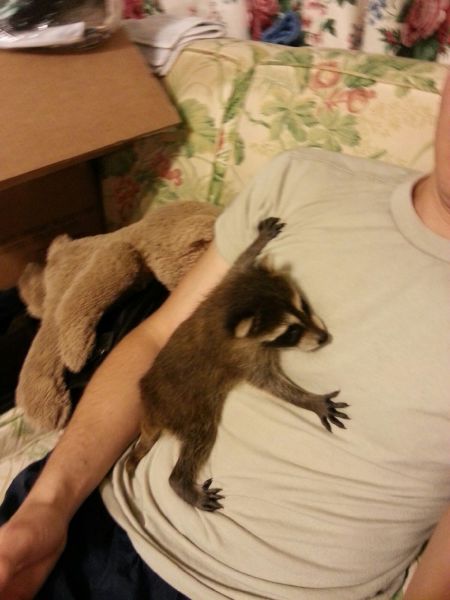 Morning Picdump