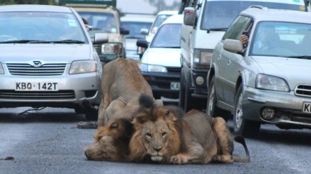 morning picdump 51 pics 20.html - 51 HD Photos | Premium Gallery 2015