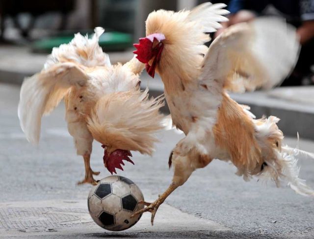 Morning Picdump