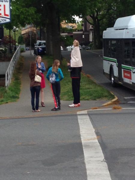 Morning Picdump