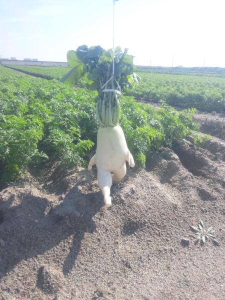 morning picdump 51 pics 26.html - 51 HD Photos | Premium Gallery 2015