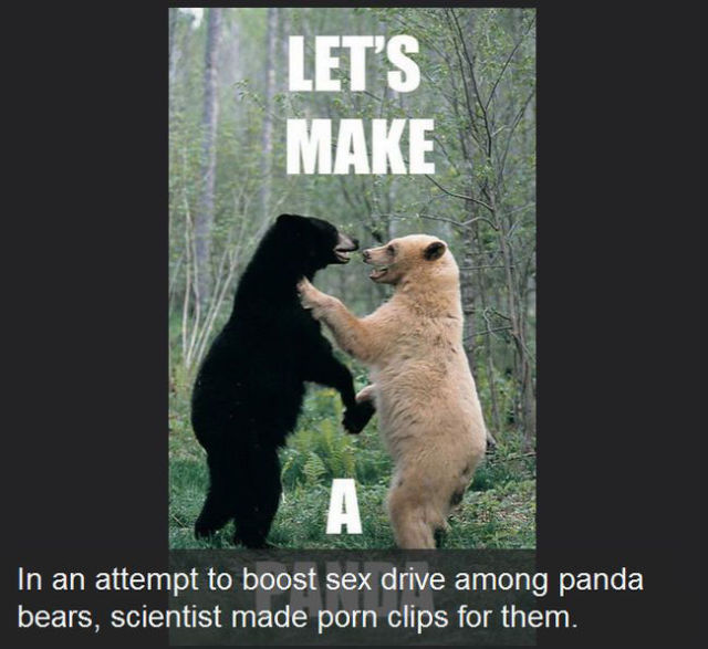 Some Facts about the Porn Industry