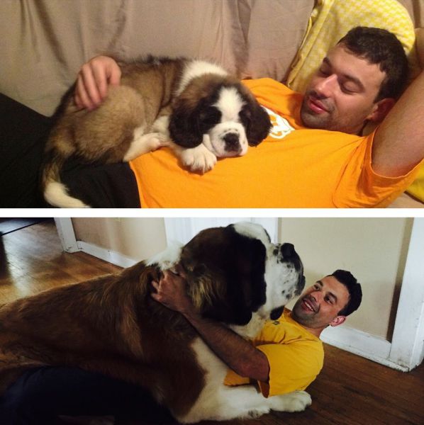 daily picdump 107 pics 1.html - 107 HD Photos | Premium Gallery 2015