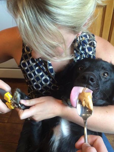 daily picdump 107 pics 1.html - 107 HD Photos | Premium Gallery 2015