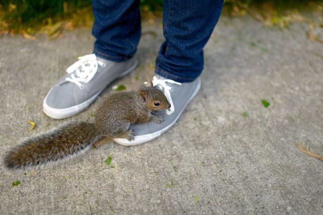 daily picdump 107 pics 1.html - 107 HD Photos | Premium Gallery 2015