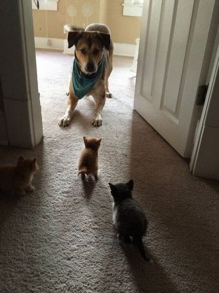 daily picdump 107 pics 1.html - 107 HD Photos | Premium Gallery 2015