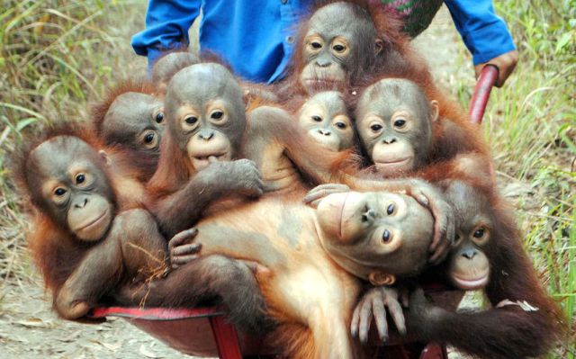 daily picdump 107 pics 1.html - 107 HD Photos | Premium Gallery 2015