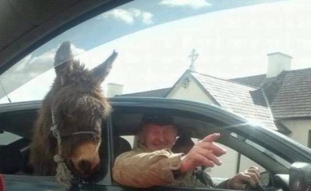 morning picdump 54 pics 22.html - 54 HD Photos | Premium Gallery 2015