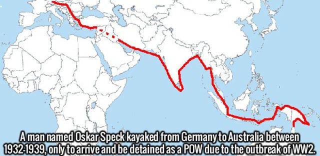 Interesting Facts about Anything and Everything