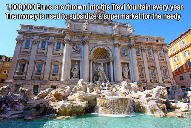 Interesting Facts about Anything and Everything