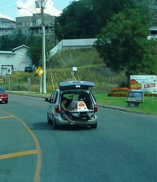 Morning Picdump
