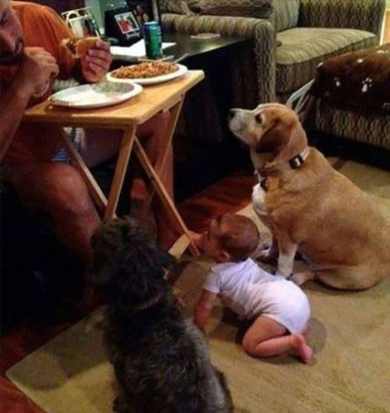 morning picdump 54 pics 12.html - 54 HD Photos | Premium Gallery 2015