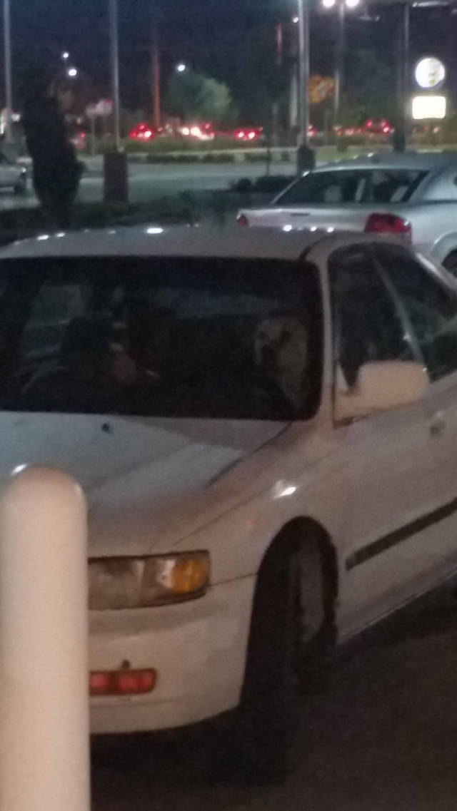 morning picdump 54 pics 12.html - 54 HD Photos | Premium Gallery 2015