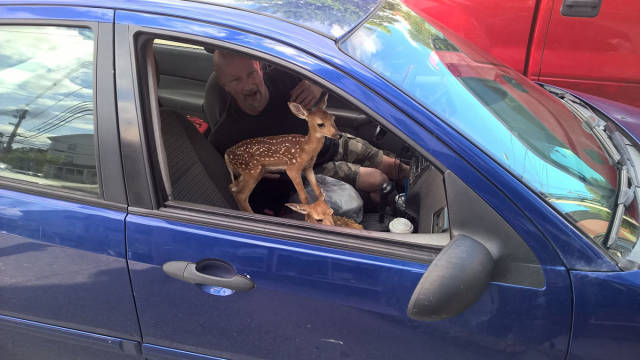 morning picdump 54 pics 13.html - 54 HD Photos | Premium Gallery 2015