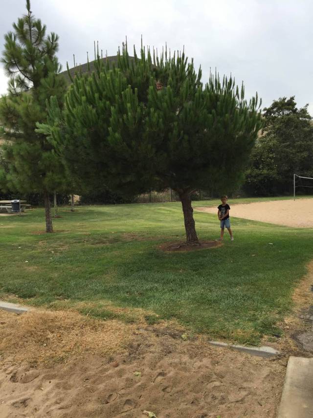 morning picdump 54 pics 13.html - 54 HD Photos | Premium Gallery 2015