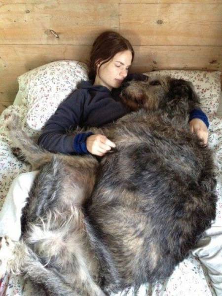 Morning Picdump