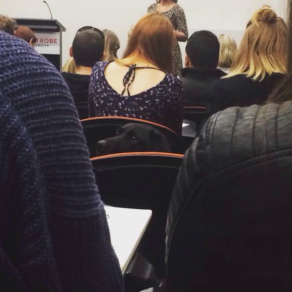 morning picdump 52 pics 1.html - 52 HD Photos | Premium Gallery 2015