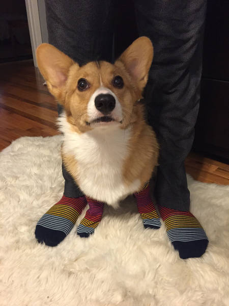 morning picdump 52 pics 1.html - 52 HD Photos | Premium Gallery 2015