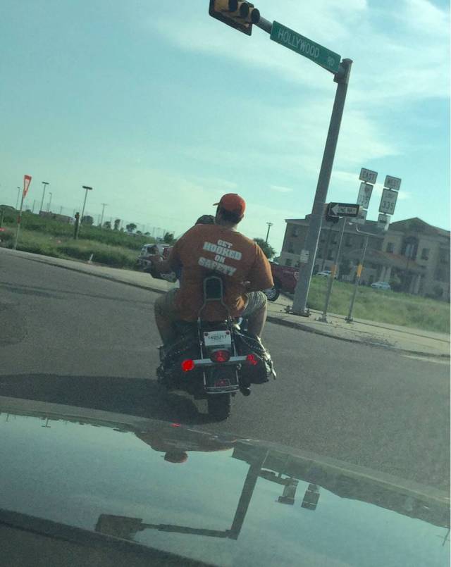 Morning Picdump