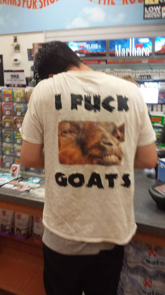 Morning Picdump