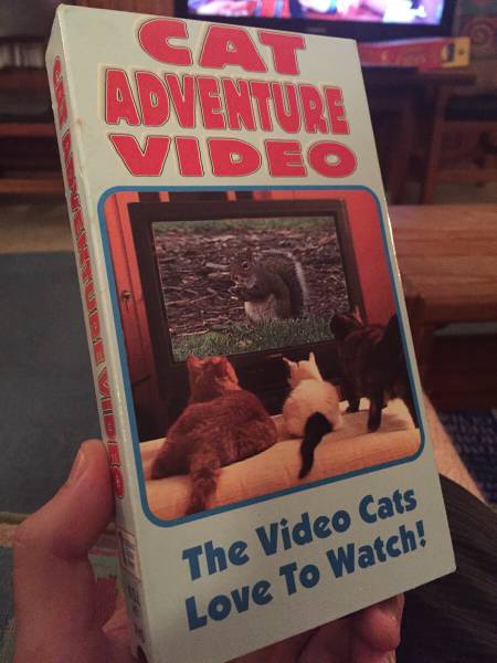 morning picdump 55 pics 21.html - 55 HD Photos | Premium Gallery 2015