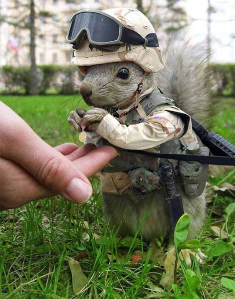 morning picdump 55 pics 21.html - 55 HD Photos | Premium Gallery 2015